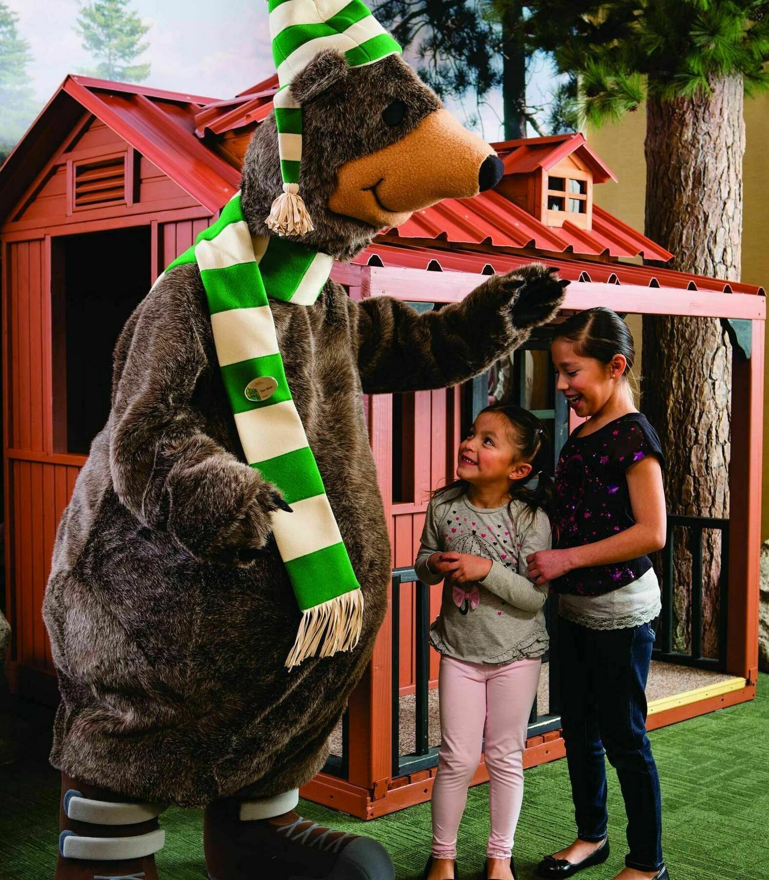 Marriott'S Timber Lodge South Lake Tahoe Dış mekan fotoğraf